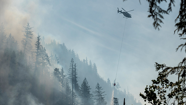 The 2025 wildfire season is on track to be Canada's 2nd-worst on record
